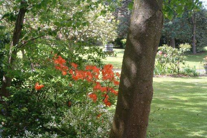 Location de vacances - Gîte à Friville-Escarbotin