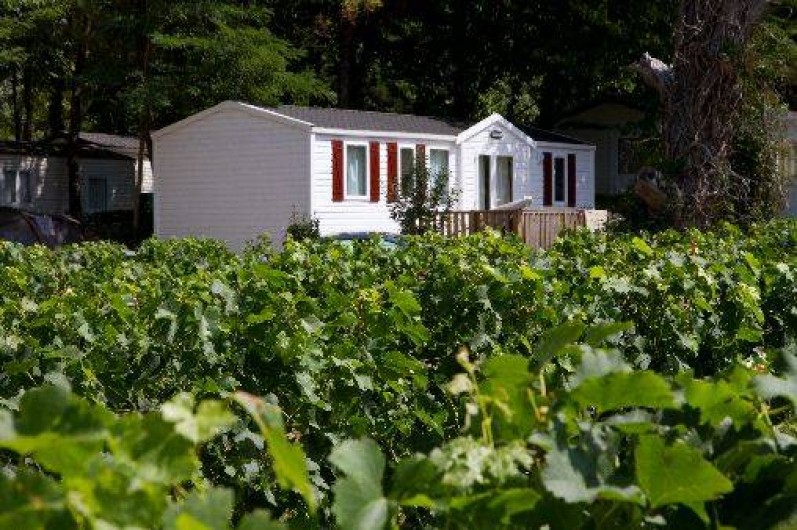 Location de vacances - Camping à Petit-Palais-et-Cornemps