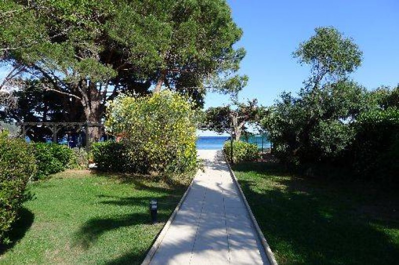 Location de vacances - Appartement à Le Lavandou