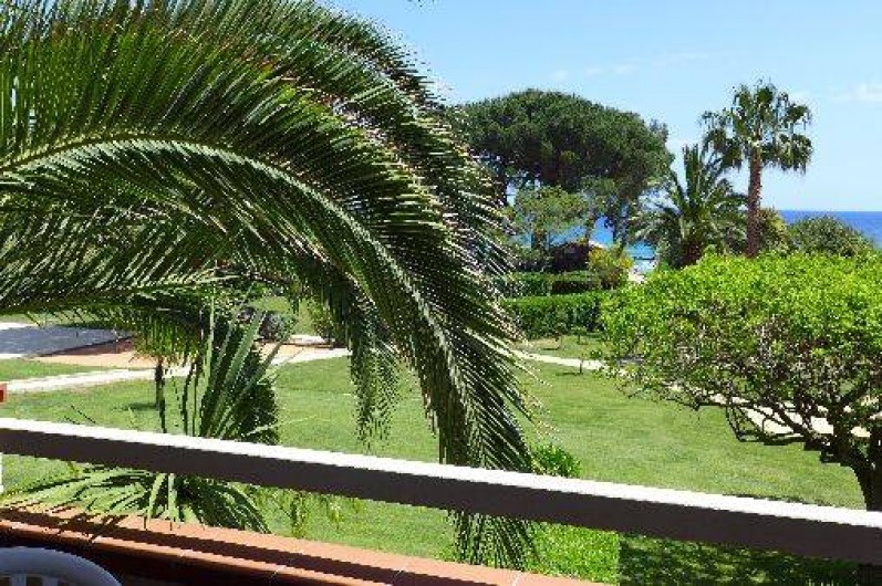 Location de vacances - Appartement à Le Lavandou