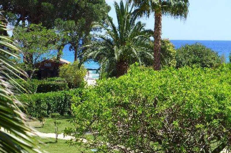 Location de vacances - Appartement à Le Lavandou
