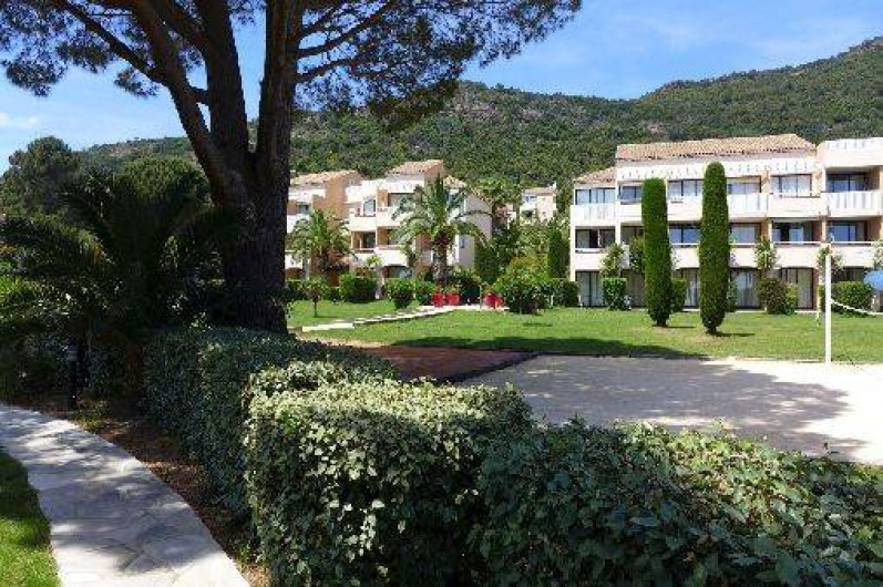 Location de vacances - Appartement à Le Lavandou