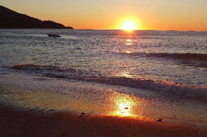 Location de vacances - Appartement à Le Lavandou