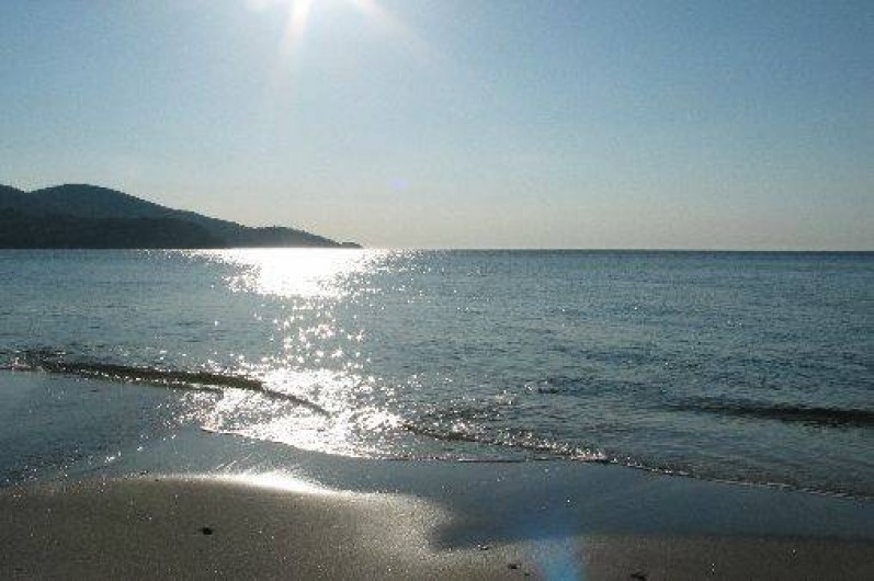 Location de vacances - Appartement à Le Lavandou