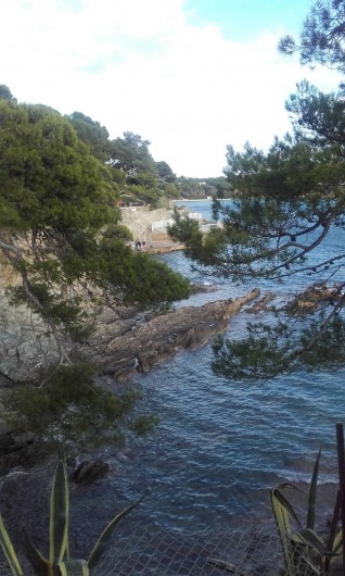 Location de vacances - Villa à Hyères - le port du Niel