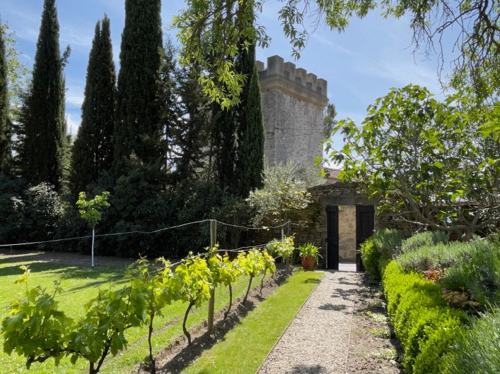 Location de vacances - Gîte à Montlaur - L'entrée du jardin