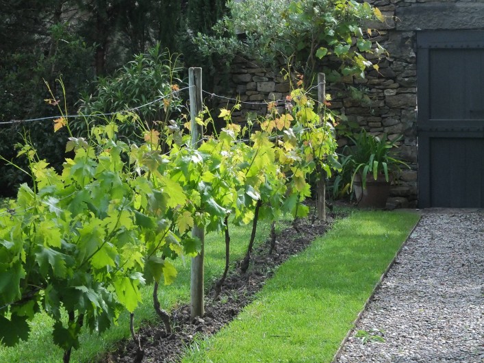 Location de vacances - Gîte à Montlaur - L'entrée du jardin