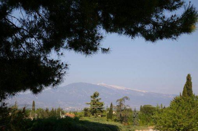 Location de vacances - Villa à Carpentras