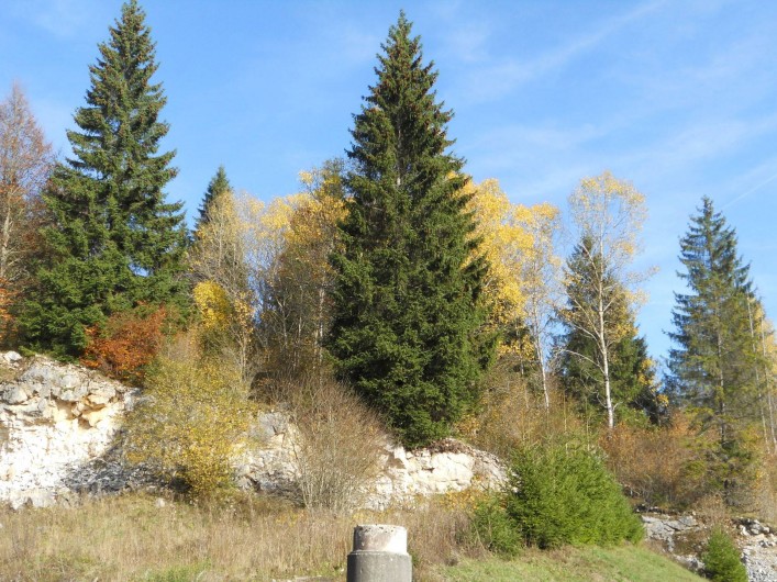 Location de vacances - Gîte à Nanchez
