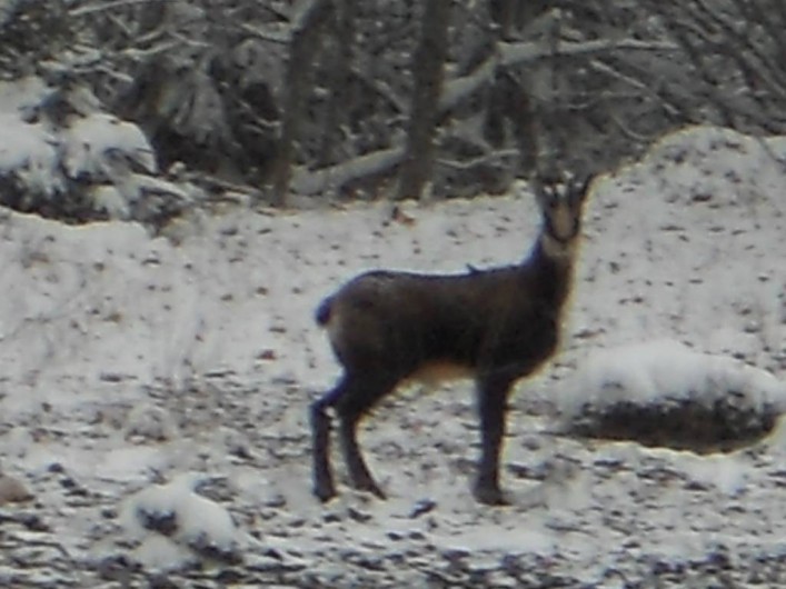 Location de vacances - Gîte à Nanchez