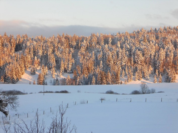 Location de vacances - Gîte à Nanchez