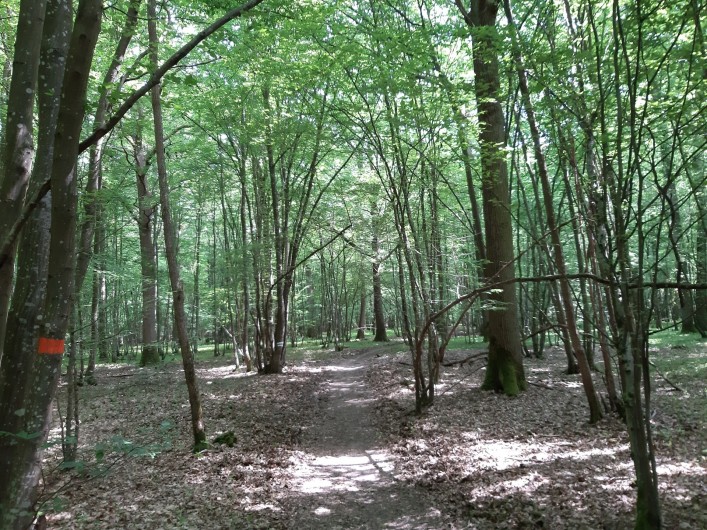 Location de vacances - Chambre d'hôtes à Rouvres