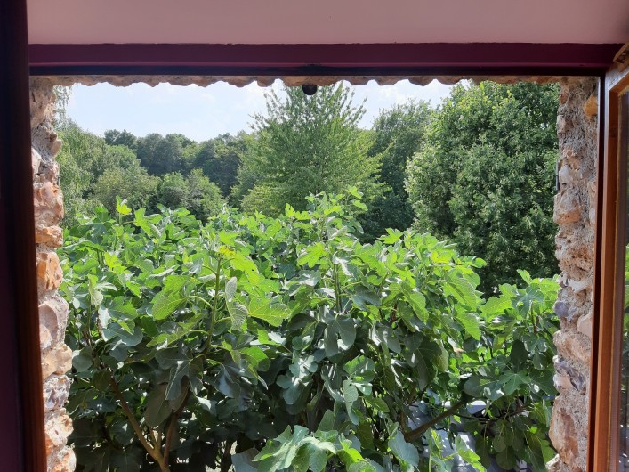 Location de vacances - Chambre d'hôtes à Rouvres