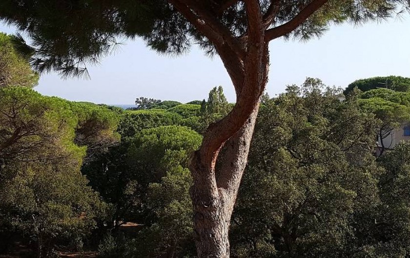 Location de vacances - Appartement à Les Issambres