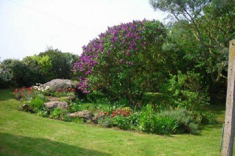 Location de vacances - Maison - Villa à Pleubian