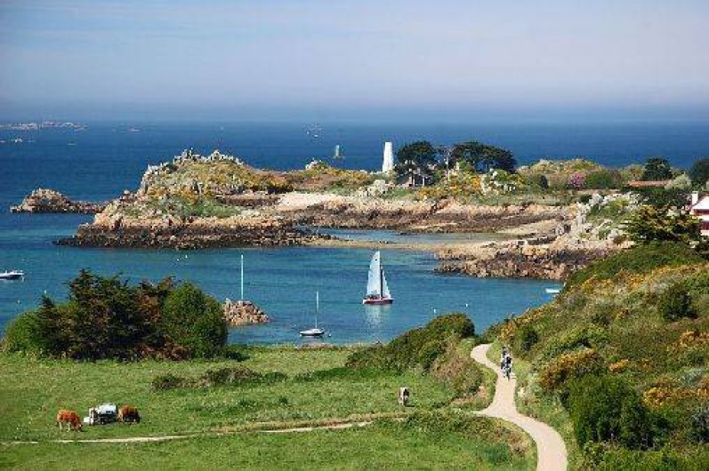 Location de vacances - Maison - Villa à Pleubian