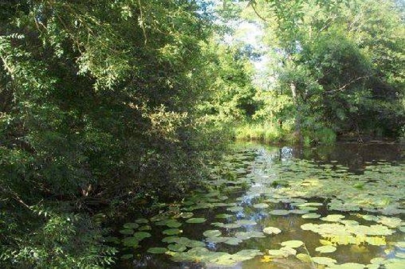 Location de vacances - Maison - Villa à Plesse