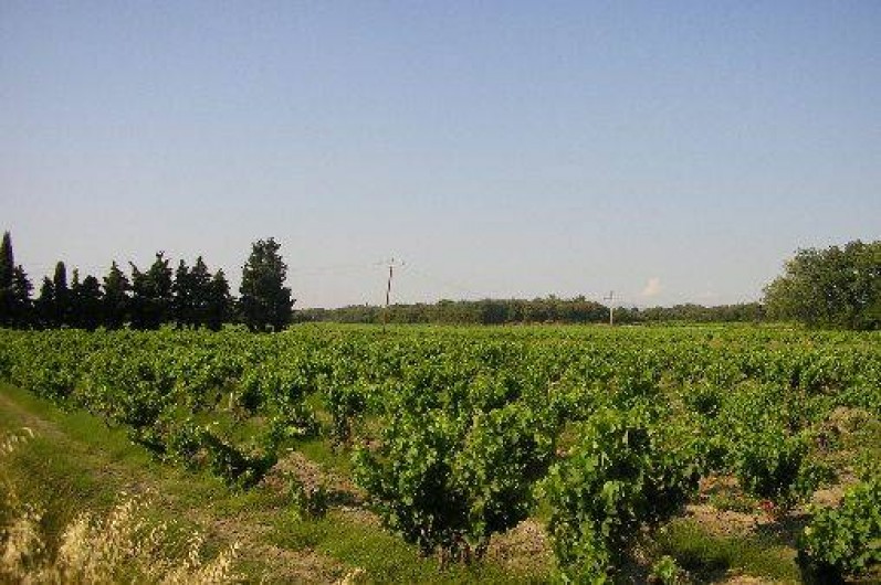 Location de vacances - Gîte à Sérignan-du-Comtat