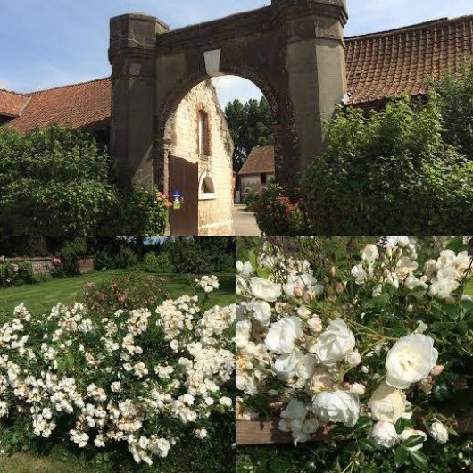 Location de vacances - Gîte à Neuville-sous-Montreuil - entrée du Vert Bois