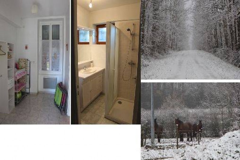 Location de vacances - Gîte à Narcy