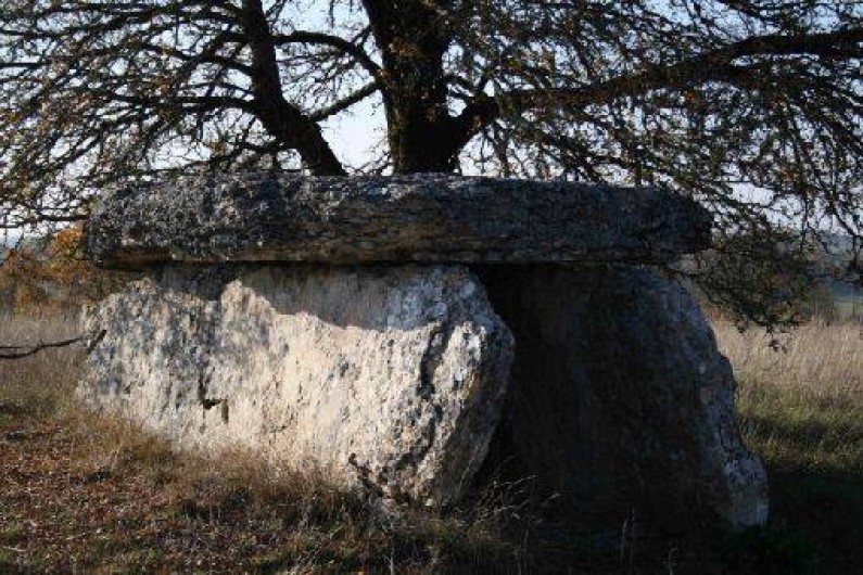 Location de vacances - Gîte à Limogne-en-Quercy