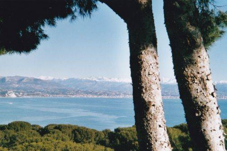 Location de vacances - Villa à Antibes
