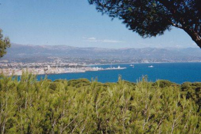 Location de vacances - Villa à Antibes