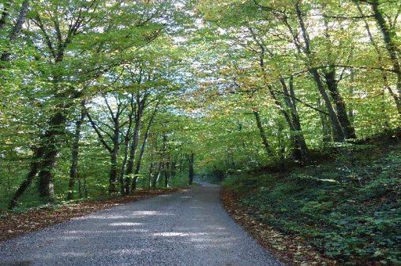 Location de vacances - Maison - Villa à Randevillers