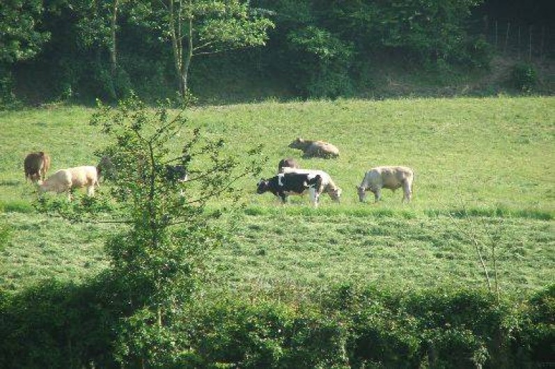 Location de vacances - Gîte à Saint-Michel-sous-Bois