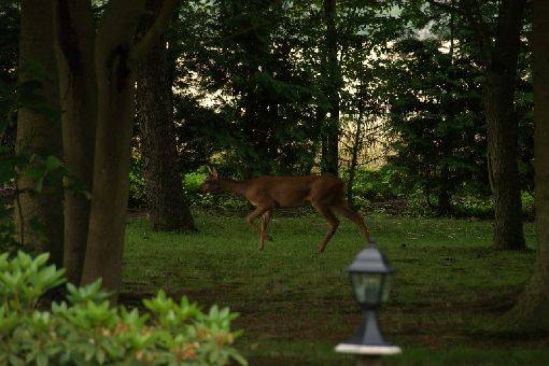 Location de vacances - Gîte à Lieurey