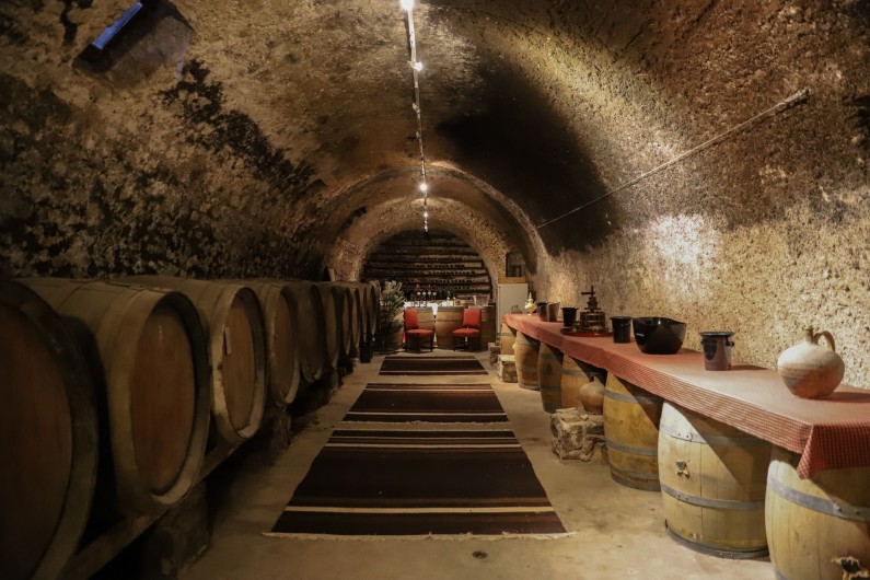 Location de vacances - Château - Manoir à Agel