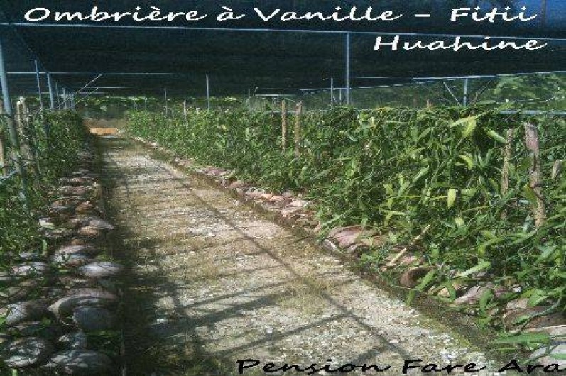 Location de vacances - Villa à Huahine