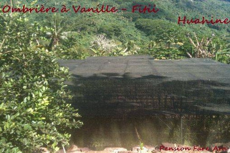 Location de vacances - Villa à Huahine