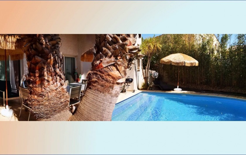 Terrasse Principale avec 2 palmiers géants ( washingtonia ) et piscine.