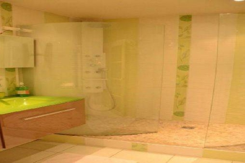 Location de vacances - Appartement à Troyes - Salle de bain 