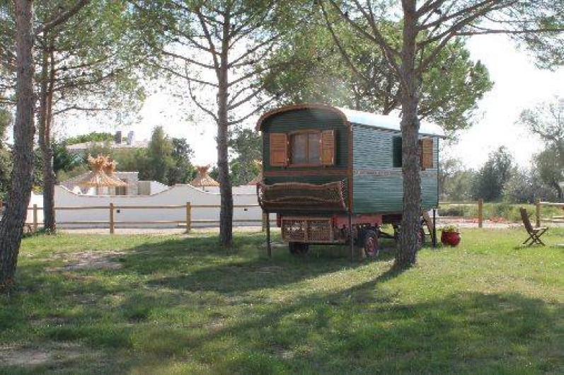 Location de vacances - Appartement à Saintes-Maries-de-la-Mer