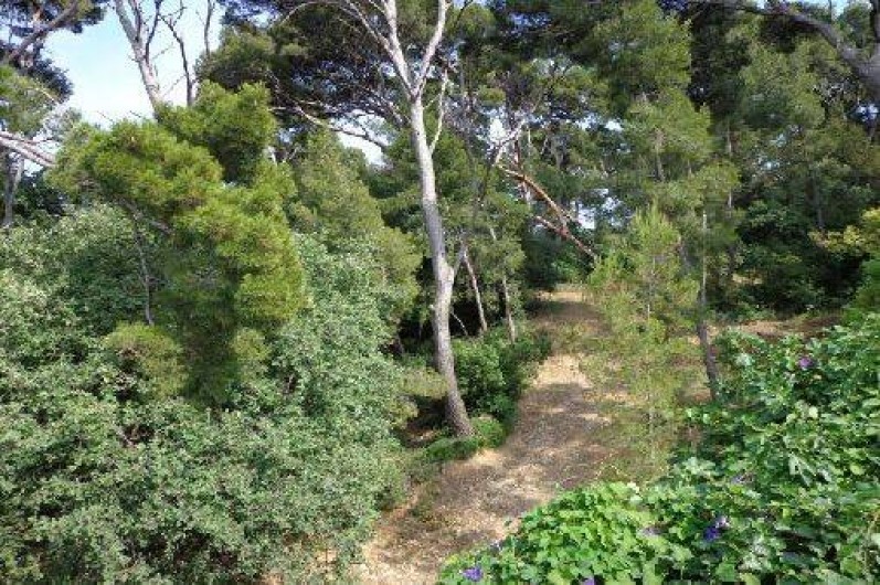 Location de vacances - Villa à Hyères