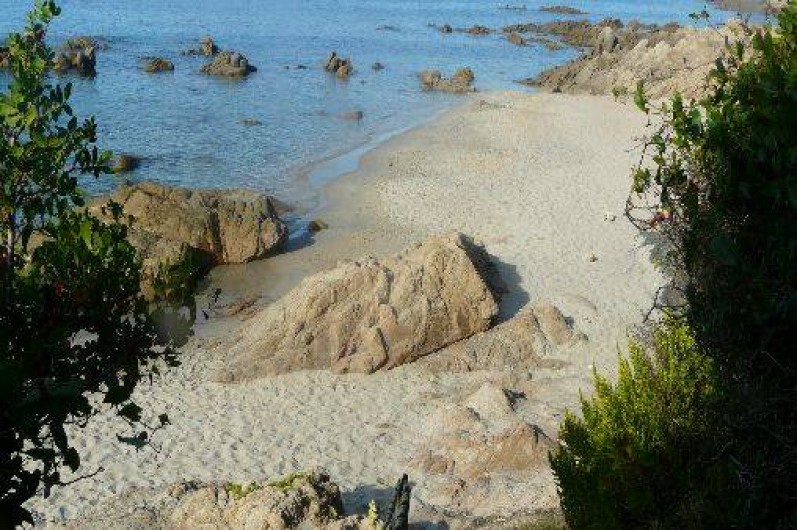 Location de vacances - Villa à Ajaccio - PLAGE