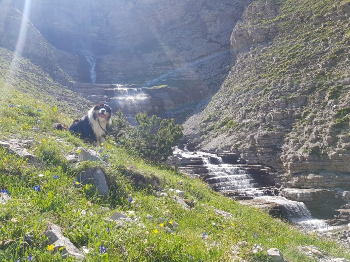 Location de vacances - Chalet à La Joue du Loup