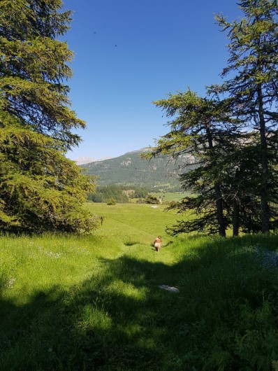 Location de vacances - Chalet à La Joue du Loup