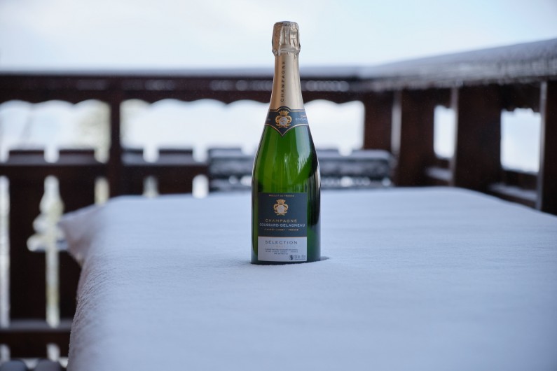 Location de vacances - Chalet à La Joue du Loup - A consommer avec modération :-)