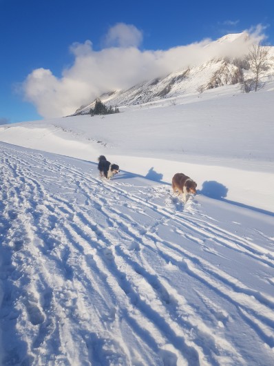Location de vacances - Chalet à La Joue du Loup