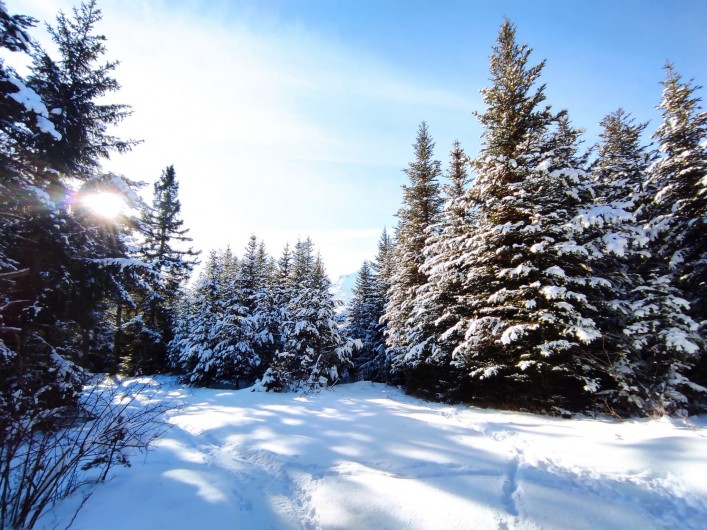 Location de vacances - Chalet à La Joue du Loup - Les Chalets de Céline, la magie de votre séjour à la montagne