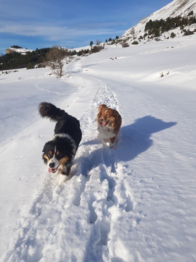 Location de vacances - Chalet à La Joue du Loup