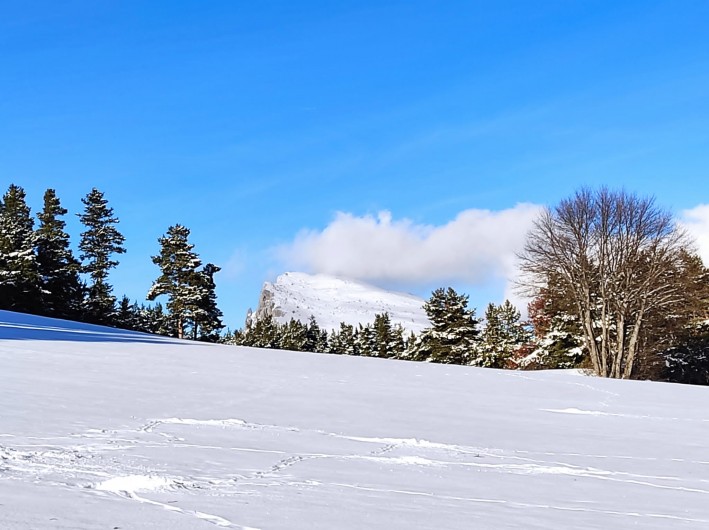 Location de vacances - Chalet à La Joue du Loup