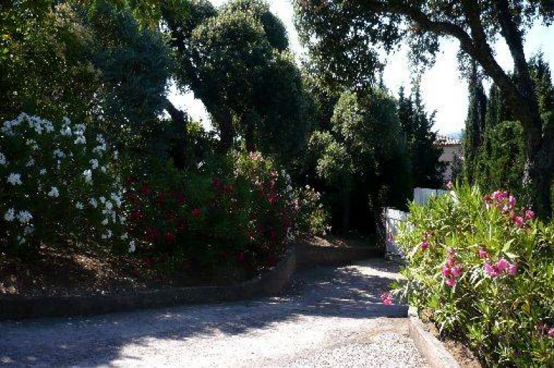 Location de vacances - Villa à Grimaud