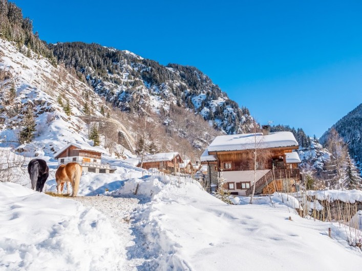 Location de vacances - Chalet à Champagny-en-Vanoise