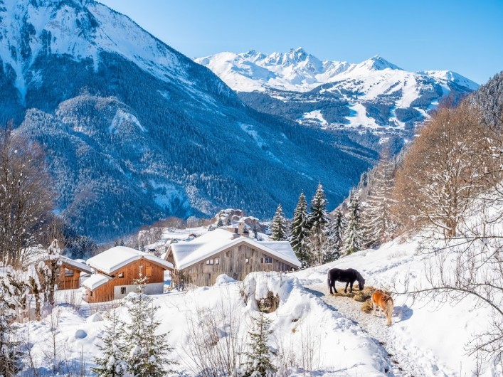 Location de vacances - Chalet à Champagny-en-Vanoise