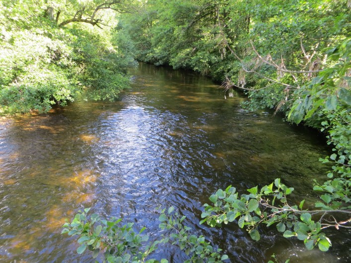 Location de vacances - Gîte à Raucoules - La Dunière  à 6km environ du gîte