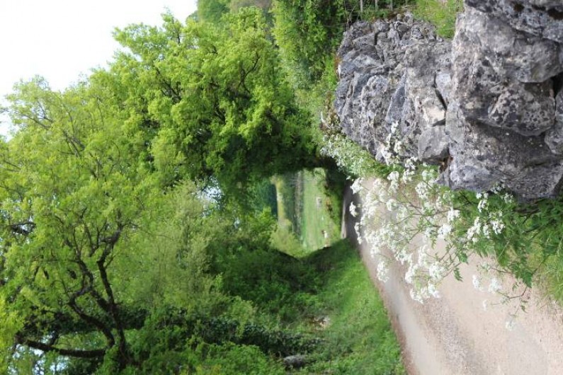 Location de vacances - Gîte à Gramat